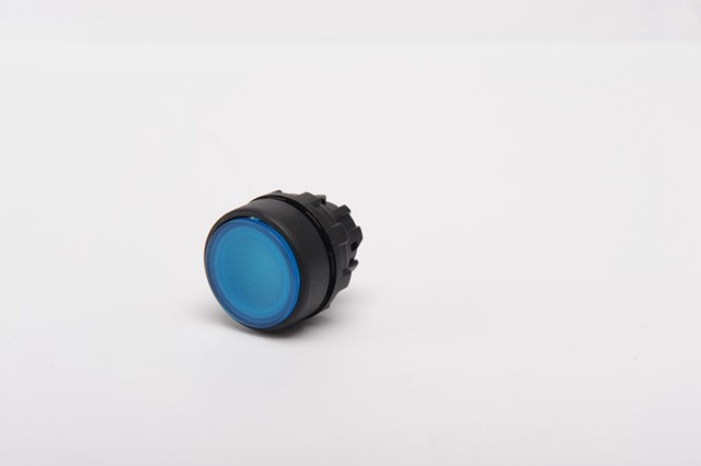 Spare Part Spring Flush Blue Button Actuator